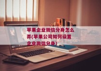 苹果企业微信分身怎么弄(苹果公司如何设置企业微信分身)