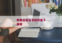 苹果企业证书如何偷下来用