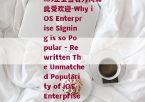 ios企业签名为何如此受欢迎-Why iOS Enterprise Signing is so Popular - Rewritten The Unmatched Popularity of iOS Enterprise Signing)