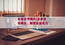 企业证书图片(企业证书展示，展现企业实力)