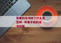 苹果的证书掉了什么意思啊--苹果手机的证书问题