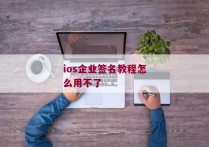 ios企业签名教程怎么用不了