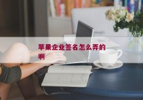 苹果企业签名怎么弄的啊