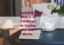 ios企业签名是啥-What is iOS Enterprise Signing and How It Works 