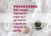 苹果企业签名首推腾达签名-Tengda Signing Emerges as Top Pick for Apple Enterprise Signing 