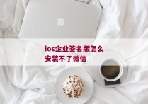 ios企业签名版怎么安装不了微信