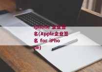 iphone 企业签名(Apple企业签名 for iPhone)