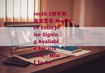 ios16.1找不到企业签名-No More Enterprise Signing Available for iOS 16.1 - What to Do 