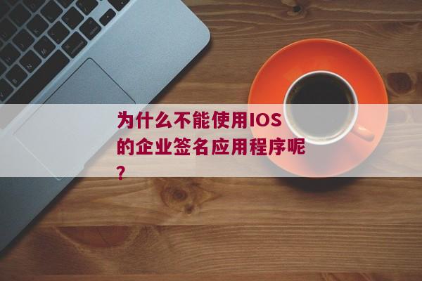 为什么不能使用IOS的企业签名应用程序呢？