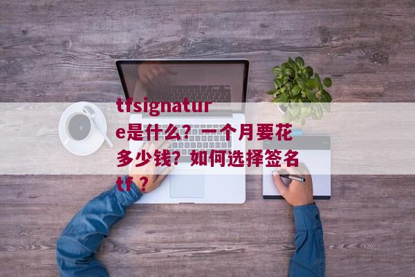 tfsignature是什么？一个月要花多少钱？如何选择签名tf ?