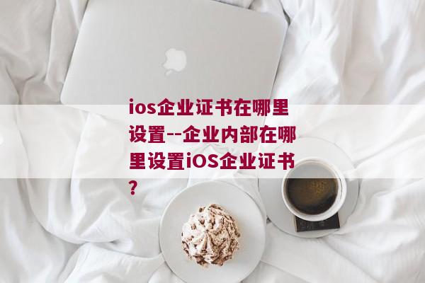 ios企业证书在哪里设置--企业内部在哪里设置iOS企业证书？