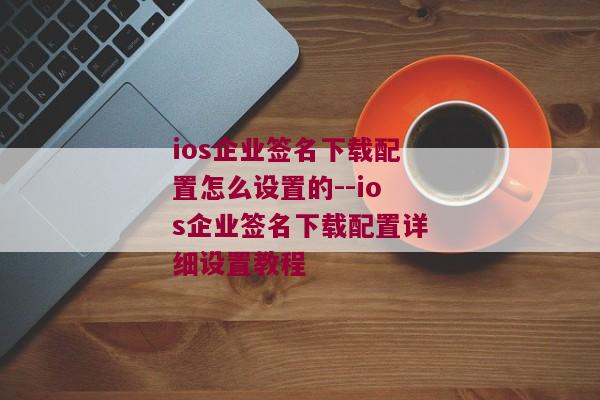 ios企业签名下载配置怎么设置的--ios企业签名下载配置详细设置教程