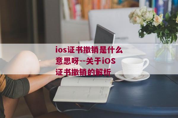 ios证书撤销是什么意思呀--关于iOS证书撤销的解析