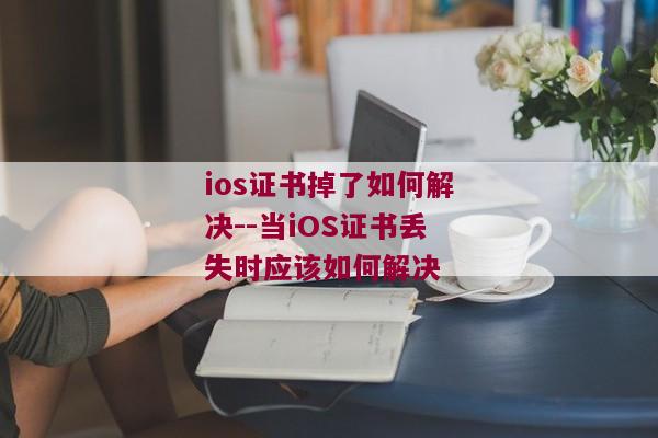 ios证书掉了如何解决--当iOS证书丢失时应该如何解决