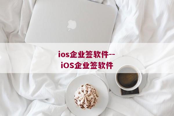 ios企业签软件-- iOS企业签软件 