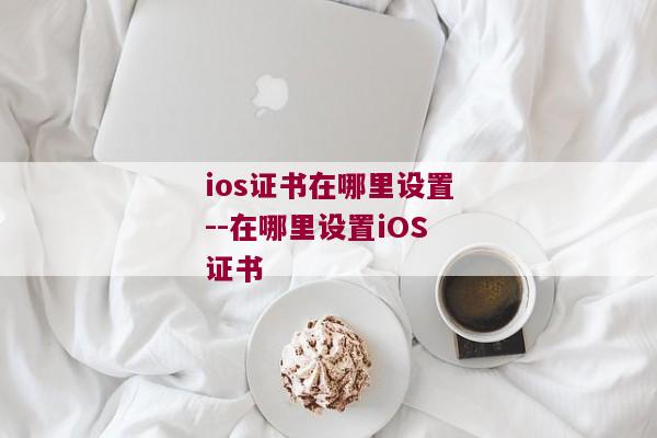 ios证书在哪里设置--在哪里设置iOS证书