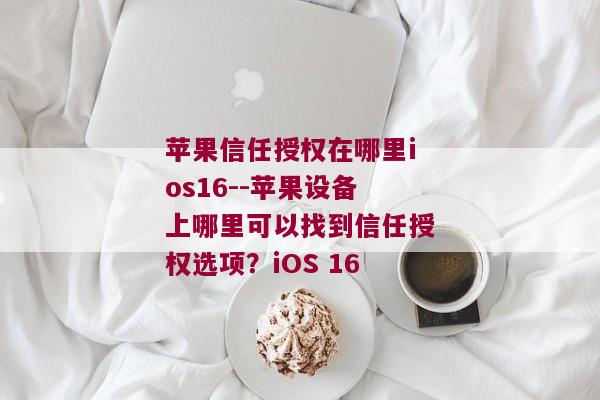 苹果信任授权在哪里ios16--苹果设备上哪里可以找到信任授权选项？iOS 16