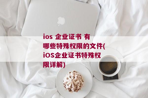 ios 企业证书 有哪些特殊权限的文件(iOS企业证书特殊权限详解)