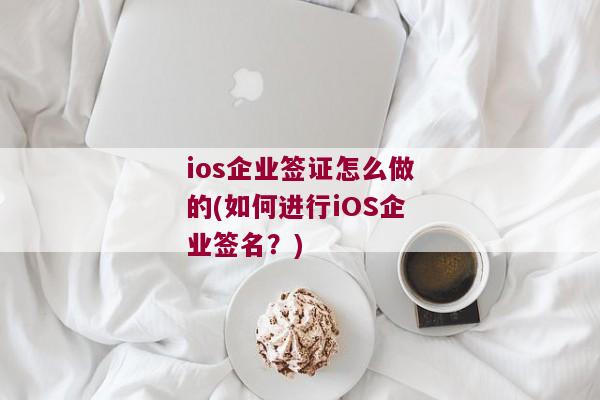ios企业签证怎么做的(如何进行iOS企业签名？)