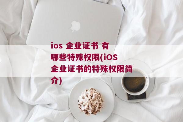 ios 企业证书 有哪些特殊权限(iOS企业证书的特殊权限简介)