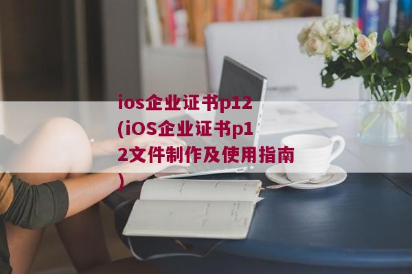 ios企业证书p12(iOS企业证书p12文件制作及使用指南)