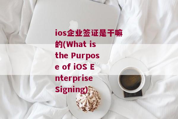 ios企业签证是干嘛的(What is the Purpose of iOS Enterprise Signing)