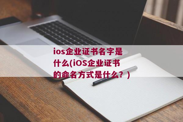 ios企业证书名字是什么(iOS企业证书的命名方式是什么？)