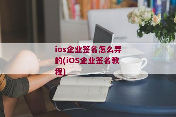 ios企业签名怎么弄的(iOS企业签名教程)