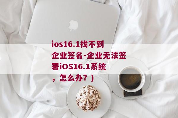 ios16.1找不到企业签名-企业无法签署iOS16.1系统，怎么办？)