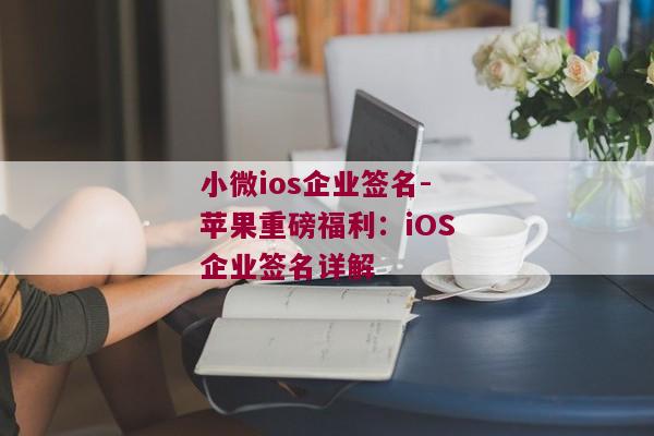 小微ios企业签名-苹果重磅福利：iOS企业签名详解 