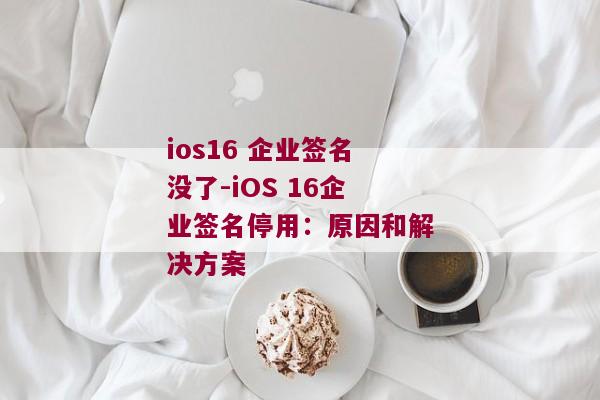 ios16 企业签名没了-iOS 16企业签名停用：原因和解决方案 