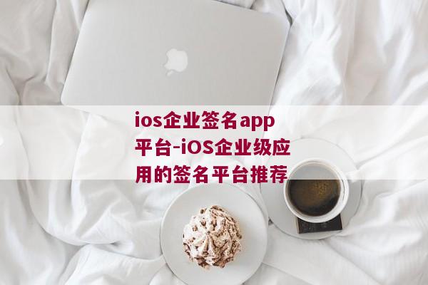 ios企业签名app平台-iOS企业级应用的签名平台推荐 