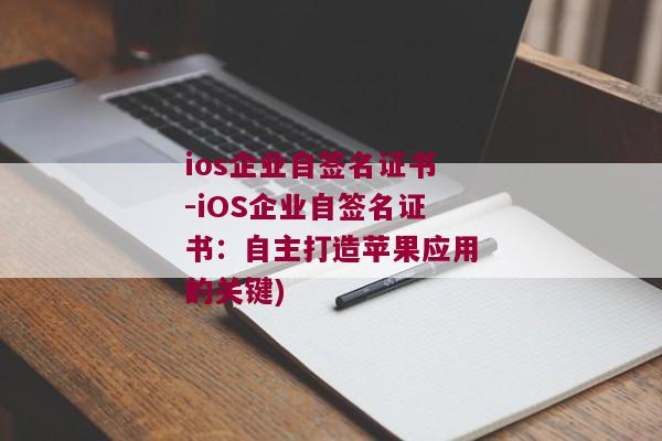 ios企业自签名证书-iOS企业自签名证书：自主打造苹果应用的关键)