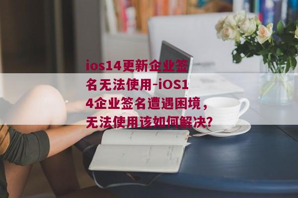 ios14更新企业签名无法使用-iOS14企业签名遭遇困境，无法使用该如何解决？ 