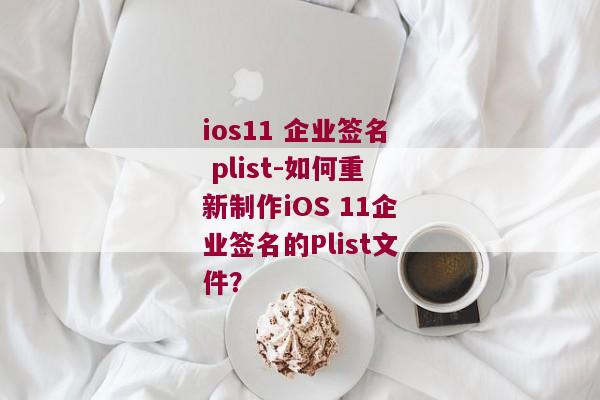 ios11 企业签名 plist-如何重新制作iOS 11企业签名的Plist文件？ 