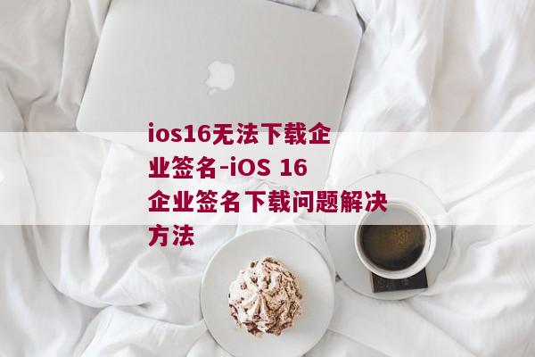 ios16无法下载企业签名-iOS 16企业签名下载问题解决方法 