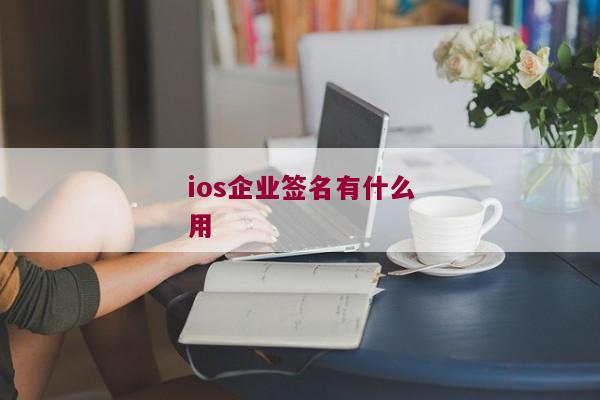 ios企业签名有什么用