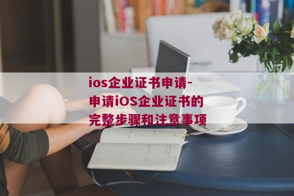 ios企业证书申请-申请iOS企业证书的完整步骤和注意事项
