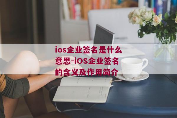 ios企业签名是什么意思-iOS企业签名的含义及作用简介