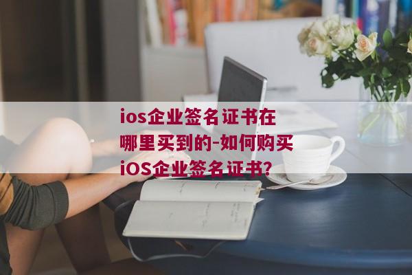 ios企业签名证书在哪里买到的-如何购买iOS企业签名证书？