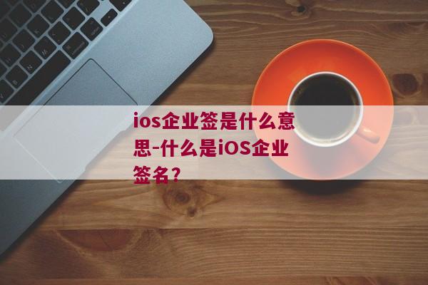 ios企业签是什么意思-什么是iOS企业签名？