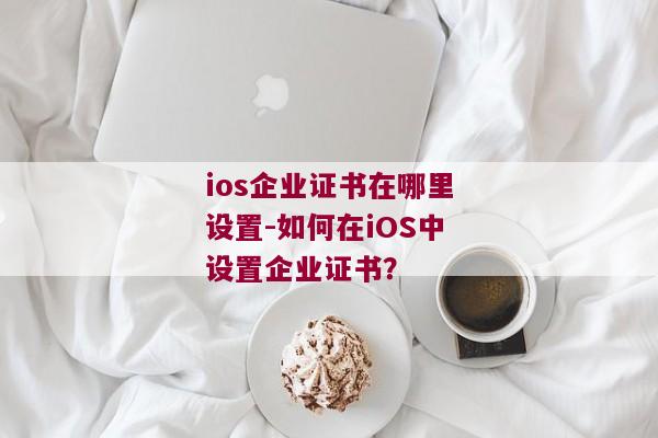 ios企业证书在哪里设置-如何在iOS中设置企业证书？