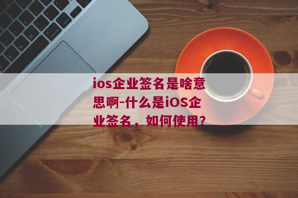 ios企业签名是啥意思啊-什么是iOS企业签名，如何使用？