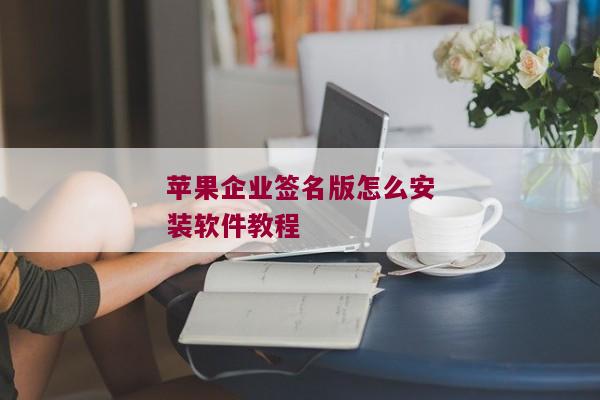 苹果企业签名版怎么安装软件教程