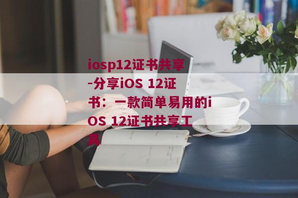 iosp12证书共享-分享iOS 12证书：一款简单易用的iOS 12证书共享工具