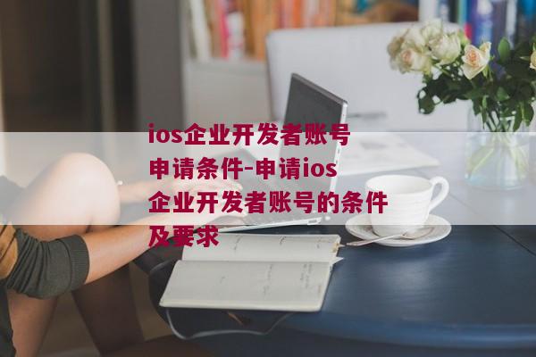 ios企业开发者账号申请条件-申请ios企业开发者账号的条件及要求