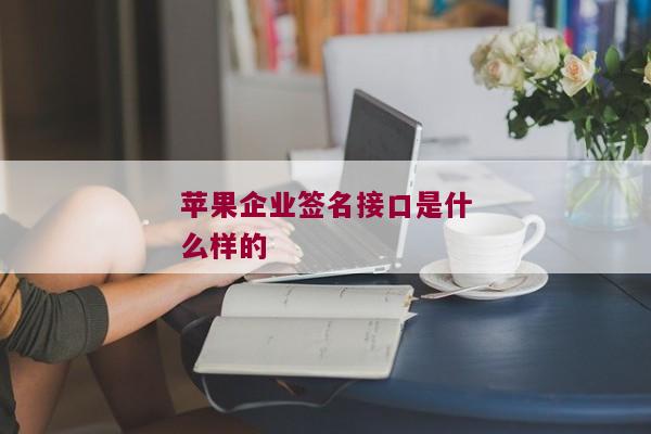 苹果企业签名接口是什么样的