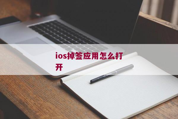 ios掉签应用怎么打开