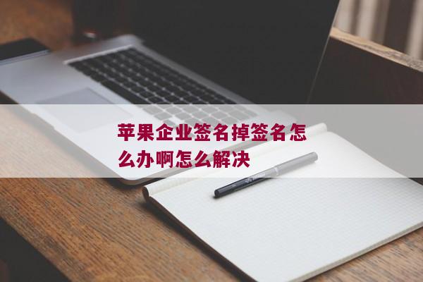 苹果企业签名掉签名怎么办啊怎么解决