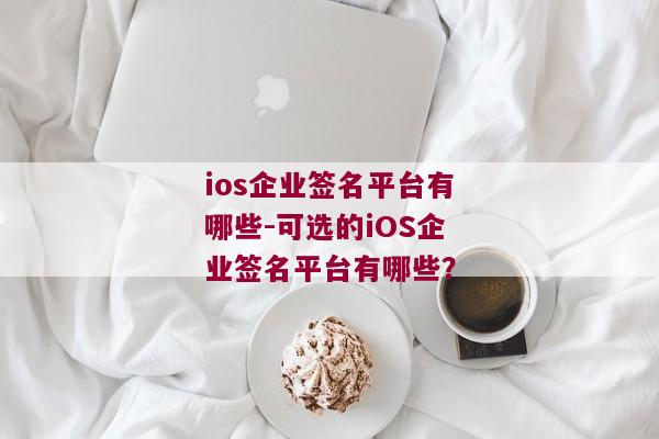 ios企业签名平台有哪些-可选的iOS企业签名平台有哪些？